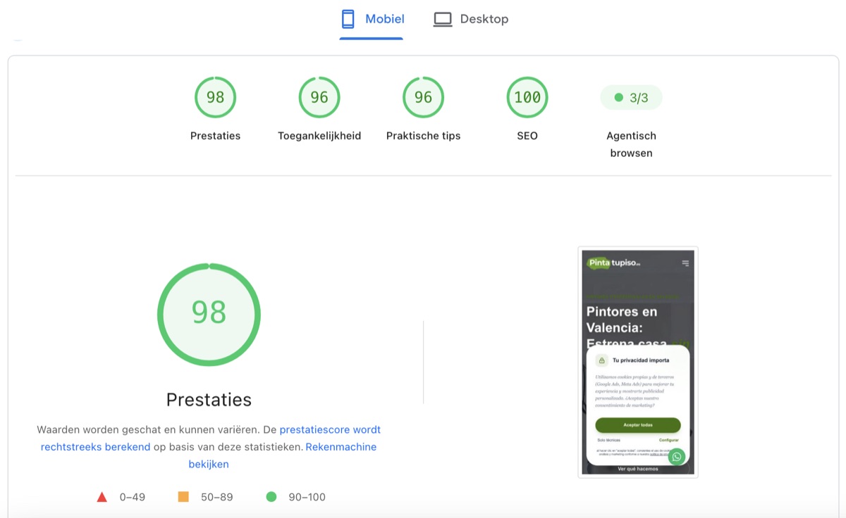 PageSpeed score voor Pintatupiso.es